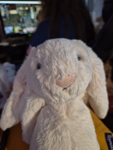 RARE! Jellycat Bashful Bunny 12