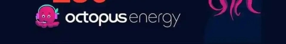 £1oo Credit Octopus Energy Heat Pump / Solar System Referral - Image 1 of 1