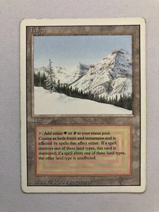 Taiga - Überarbeitete Ausgabe - Magic The Gathering - MTG - PL Zustand - Bild 1 von 2