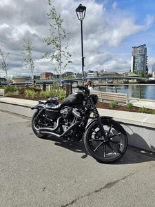 Harley-Davidson 883 Iron Sportster Low Miles Blackout Model - Picture 1 of 5