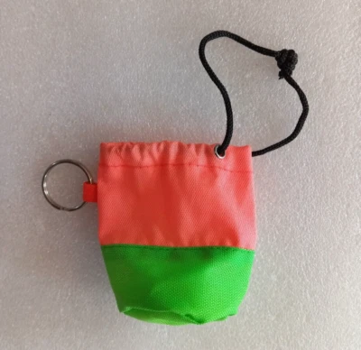 De Colección Años 90 Llavero Bolso de Lona Bolsa Neón Pequeña Cartera Nylon Cartera Dibujo Cuerda Foto 1 de 4