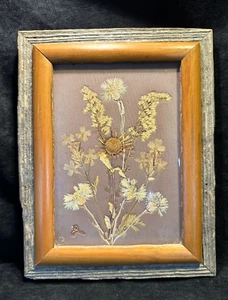 Ozark Wildflowers Pressed Flowers Barnwood Frame Melbourne Ark. Signed 1980 - Picture 1 of 5
