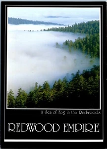 Redwood Empire, Nebelmeer im Küstenmammutbaumwald, Kalifornien Postkarte - Bild 1 von 2