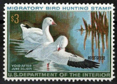 US RW37 MNH VF $3 Ross's Geese Duck Revenue Zayix Stamps 0225MAR0055 - Image 1 of 2