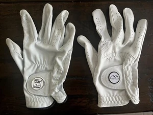 Guante de golf FOOTJOY apenas usado WHISTLER GOLF bola marca talla L mano derecha +1 MÁS - Imagen 1 de 4