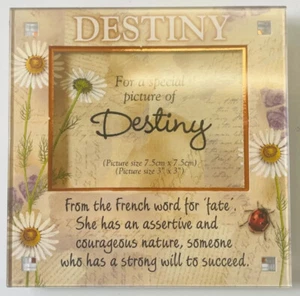 Destiny Personalized Picture Frame & Magnet. Name Meaning, Flowers & Lady Bug - Picture 1 of 11