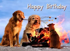 Funny HAPPY BIRTHDAY Pop-Up Card, S'Mores Dogs Beach Fire by Avanti + Envelope - Picture 1 of 5