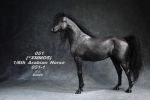 New Mr.Z 1/6 Arabian Horse Statue Arab Equidae Steed Collection Model Figure Toy - Picture 1 of 28