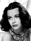 Photo non signée 10" x 8" Hedy Lamarr - actrice de cinéma américaine née en Autriche *252
