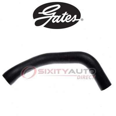 Gates Lower Radiator Coolant Hose for 1979-1993 Ford Mustang 4.2L 5.0L V8 - tf Foto 1 de 4