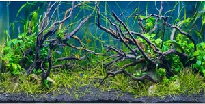 AWERT 48X24 Inches Tropical Fish Tank Background River Bed & Lake Aquatic Plant - Picture 1 of 12