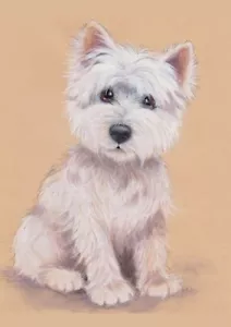 TARJETA NOTA DE SALUDO WEST HIGHLAND BLANCO TERRIER ENCANTADOR PERRO WESTIE - Imagen 1 de 1
