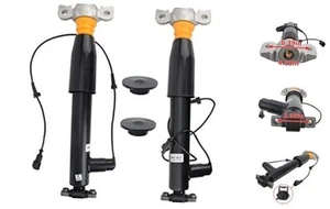 Pair Rear Right Left Shock Absorbers Struts Assembly Fit for 2013-2020 MKZ - Picture 1 of 8