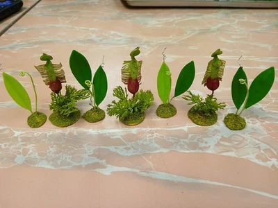 Based Giant Monkey Cup Plants Jungle Landscape  wargaming scenery terrain. 7 Pc - Image 1 of 4