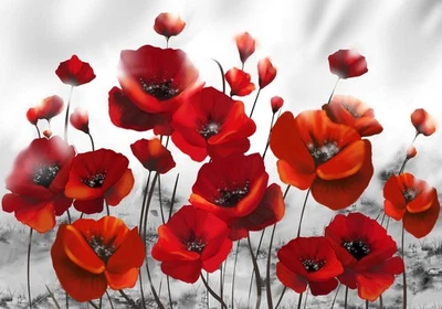 Blumen Mohnblume Abstrakt Rot VLIES FOTOTAPETE 3D WOHNZIMMER TAPETE WANDBILD XXL - Bild 1 von 2