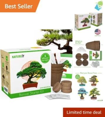 Bonsai Tree Garden Kit - Complete Experience to Grow 4 Trees Indoors or Outdoors - Image 1 of 4