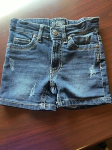 Kids Silver Brand Jean Shorts Size 5 - Picture 1 of 7