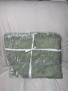 pottery barn Harry Potter Mystical Velvet Quilt -Twin- Green -In Great Condition - Picture 1 of 8