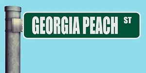 GEORGIA PEACH ST STREET SIGN HEAVY DUTY ALUMINUM ROAD SIGN 17" x 4" - Picture 1 of 1