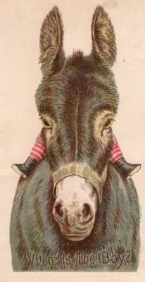 Standard Java Coffee Boy on Donkey Front & Back Views Victorian Trade Card - Image 1 of 2