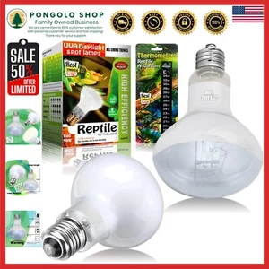 Reptile Heat Lamp Bulbs 100W - Efficient Heating for Bearded Dragons & Turtles - Picture 1 of 8