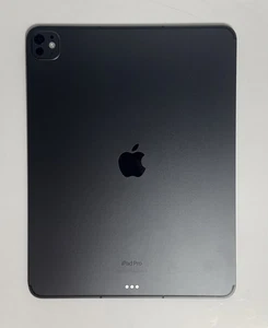 Apple iPad Pro 13" M4 chip 256GB Wi-Fi + Cellular Space Black 7th Gen OLED 2024 - Picture 1 of 10