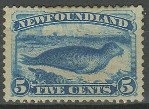 Canada - Terre-Neuve 1880/1896 5c. ☀ Phoque du Groenland bleu foncé ☀ MH inutilisé