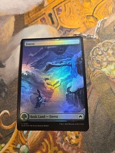 Forest 281 Winter Foil Magic The Gathering Bloomburrow - casi nuevo - - Imagen 1 de 2