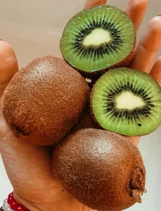 25+ 🥝 Kiwi Seeds Homegrown Edible Garden Fruit SA Organic Non GMO Vine Veg - Picture 1 of 1
