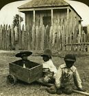 USA Alabama Baby Carriage Black Children Old White Stereoview Photo 1900