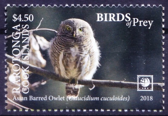 Islas Cook, Rarotonga 2018 MNH, búho barrado asiático (p), aves rapaces Foto 1 de 1