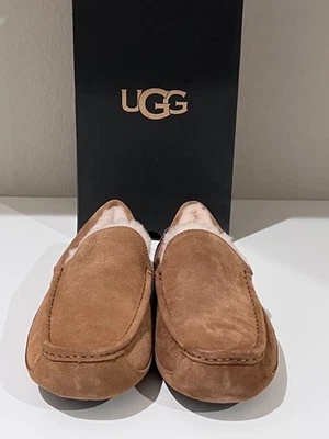 UGG Men's Ascot / Chestnut Size 11 - Image 1 of 4