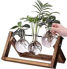 Desktop Glass Planter Iron and Wooden Stand Plant Terrariums for Indoor Offic...