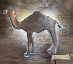 Camel Cigarettes Lighted Bar Sign Silhouette With Blue Light-piped Edge Accents - Picture 1 of 6