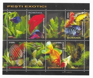 ROMANIA Sc 4714a NH SOUVENIR SHEET OF 2005 - FISH - (WS25) - Picture 1 of 1