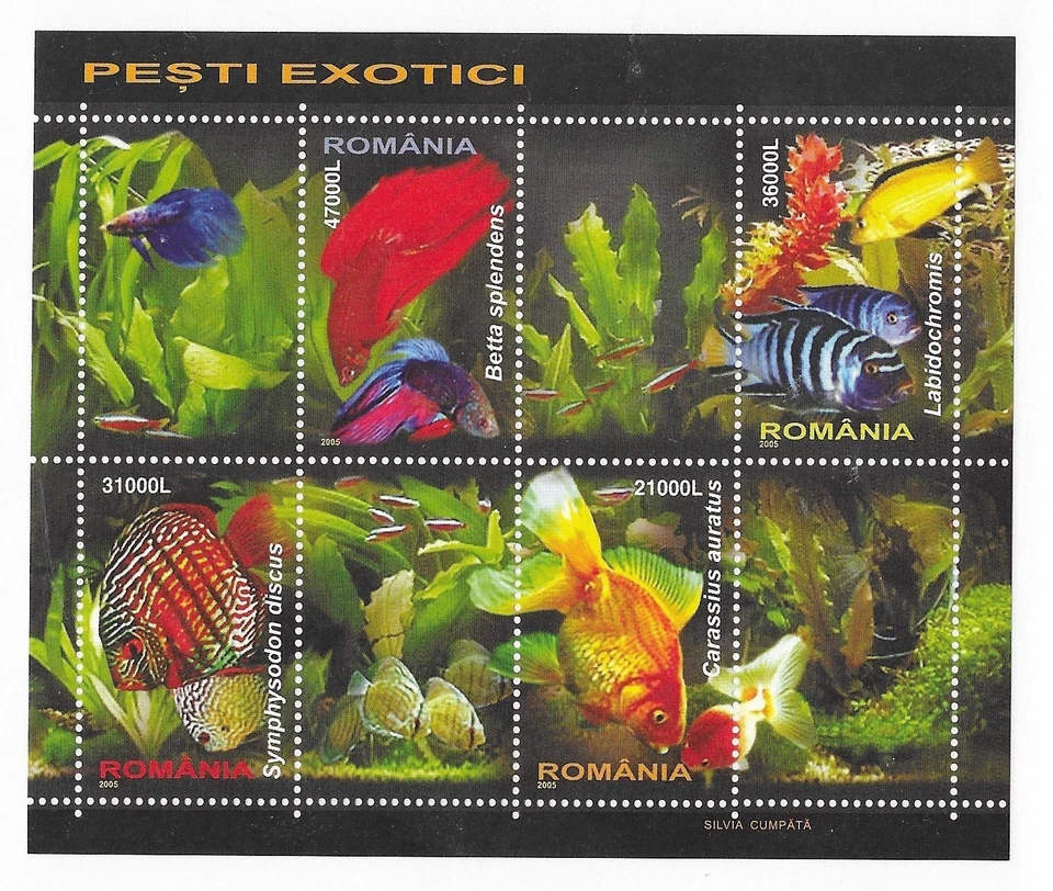 ROMANIA Sc 4714a NH SOUVENIR SHEET OF 2005 - FISH - (WS25) - Image 1 of 1