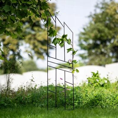Pergola de terrasse de jardin pour roses - Support idéal pour plantes en acie... - Photo 1/4