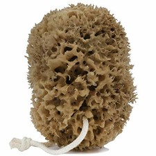 Naroa Natural Honeycomb Sea Sponge | Unbleached Durable Shower Pouf for Adults