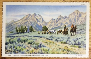 Horseback Riding Teton National Park Wyoming WY Postcard PC 1940s Curteich - Picture 1 of 1