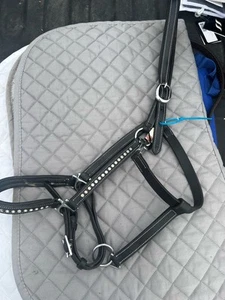 Leder Neckholder Full Size schwarz mit Nieten Nasenriemen und Wangen - Bild 1 von 2