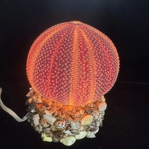 Sea Urchin Lucite Seashell Base Tabletop Night Light Lamp Unique MCM RARE - Picture 1 of 5