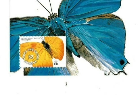 Turks and Caicos - 1991 - Butterflies  - Souvenir Sheet - MNH (Scott#902) Cover
