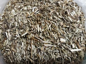 Ysop (Hyssopus officinalis) - 80 Gramm - Bild 1 von 1
