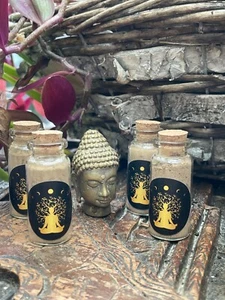 Rapee (Cumaro) aus dem Amazonas Brasilien - Bild 1 von 1