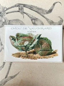 Etiquette Chromo Légume ancien Vilmorin chou Vaugirard Horticulture Catalogue - Imagen 1 de 1