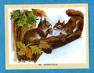 NATURAMA - Lampo 1968 - Figurina-Sticker n. 233 - SCOIATTOLO -Rec - Foto 1 di 1