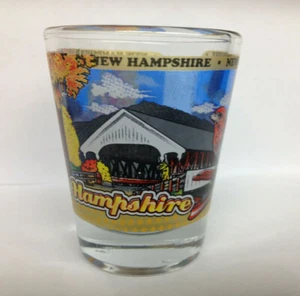 NUEVO HAMPSHIRE ESTADO ESCOPETA DE VIDRIO ENVOLVENTE NUEVO - Imagen 1 de 1