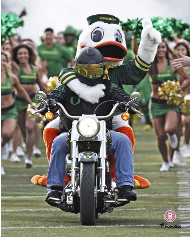 Oregon Ducks Unsigned The Oregon Duck Riding Motorcycle 8" x 10" Photo Cover