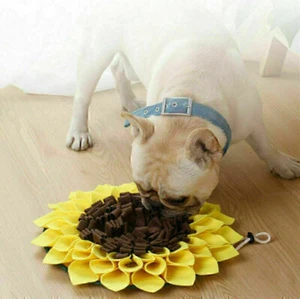 Schnüffelteppich Hunde Katze Langsam Futter Matte Trainingmatte Puzzle Spielzeug - Bild 1 von 5
