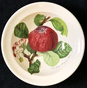 Portmeirion Pomona "Hoary Apple" Rand Müslischale 6,75" Britain Made Vintage NOS - Bild 1 von 9